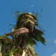 Illustration for article titled Everything* In The Witcher 3, Ranked